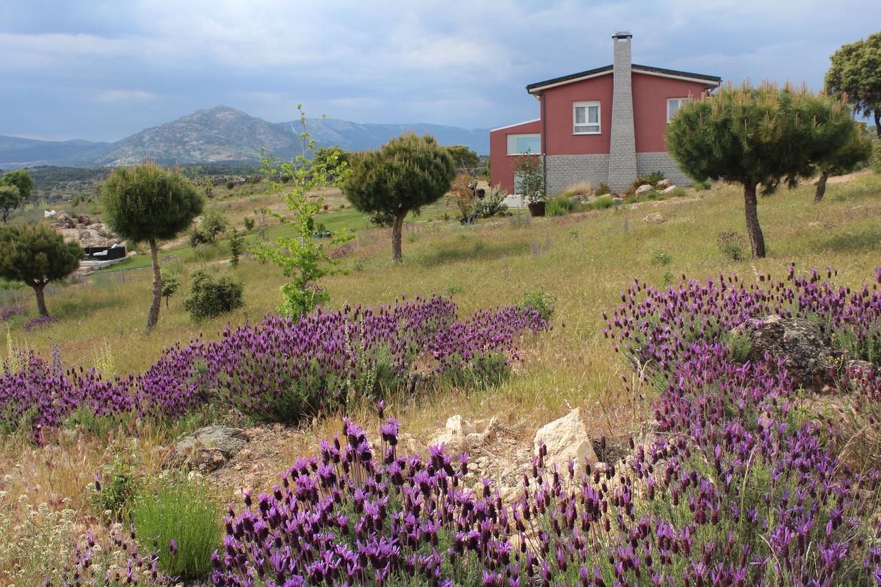 Finca El Enebro Valdemorillo Buitenkant foto